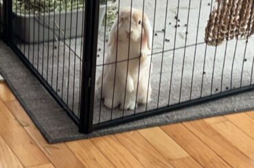 getting death stared