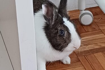 pretending she didn't do it😂