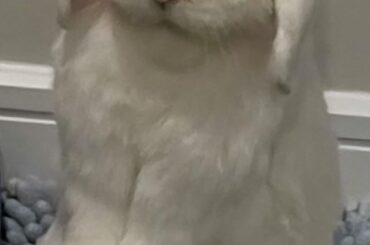 He’s got something a little political to say