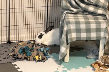 ZzzzzZzzzz Mimimimimi