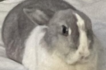 Our little two pound meatball!