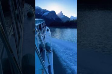 A landscape and a cute rabbit #bunny #rabbit #landscape #viralvideo #cuteanimals #cute #cutepets