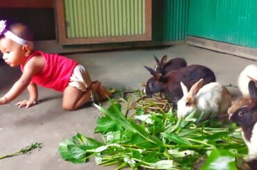 Cute bunnies are eating and cute baby is playing with them and feeding them