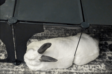 Sol, what is you doing