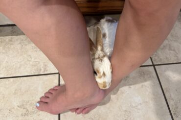 Definitely the perfect place to rest his head