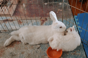 How is that comfortable???