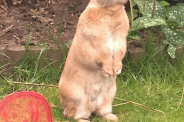 he has something in mind