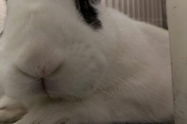 So long that he doesn’t even fit into one picture