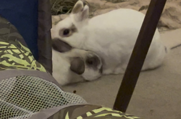 She has officially lost her mind