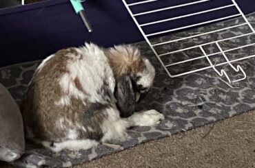 sure man just sleep like that. whatever