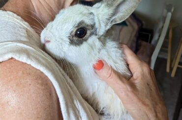 HAPPY 1YR BIRTHDAY Ian! He's a big boy now..