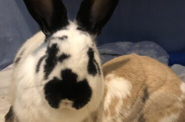 Magnus found somewhere warm to sit.