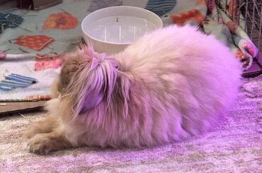 There’s feet under there??