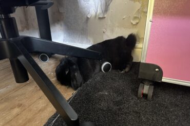 we don’t talk about her decorating skills 🙊