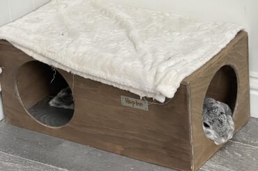 Not much room at the Inn