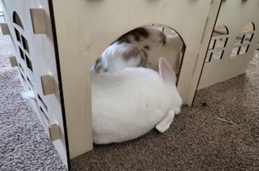 Just found this sub and wanted to share