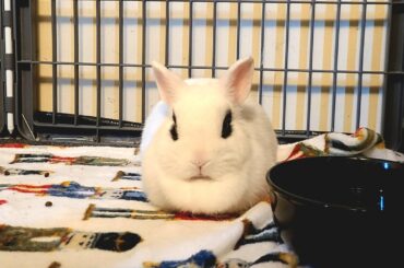 Fellas, I'm in need of some input, please rate this loaf