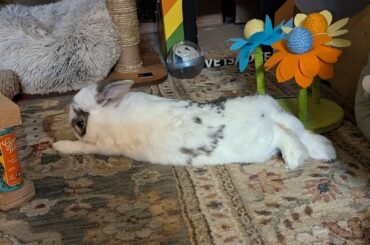 When your belly's full of herbs