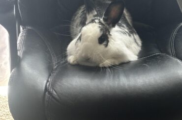 Her little feets 😭😍 I’m in love