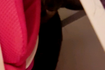 She loves to snuggle with my shoes while sleeping