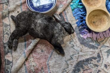 She sleeps like this specifically just to scare me, I swear to god.