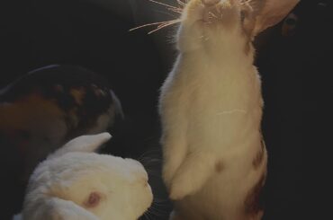 The lighting was quite pretty.