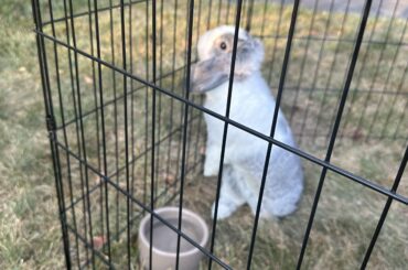 Enjoying the sunlight