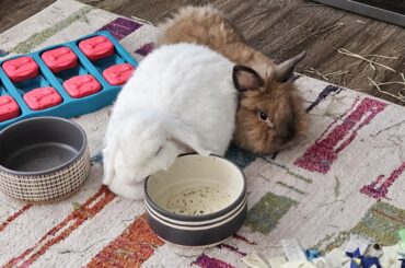 Who is more buncomfortable?