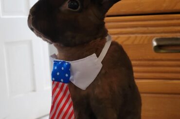 Darrell for President 2024.