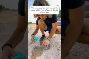 A compassionate man rescued this cute bunny rabbit and gave him a new life #animalshorts #shorts