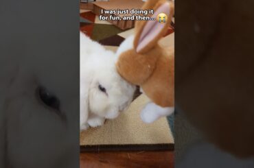 Poor bunny's unexpected love...