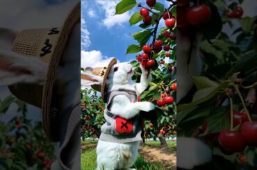 Cute Rabbit Picking The Orchid #rabbit #airabbit #cuterabbit #cute #orchid #shorts #ai