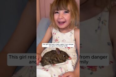 This girl rescued a baby rabbit from danger and gave it a loving family #animalshorts #rabbit
