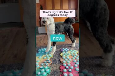 Thank you Buns. | What About Bunny #whataboutbunny