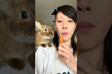 RADAGON THE BUN | Carrot mukbang #cute #bunny #rabbit #shorts
