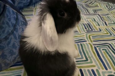 I call this one, Blue Steel