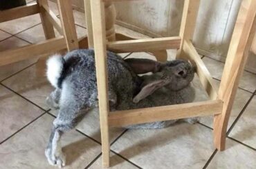 Be honest; does this make my bum look big?!