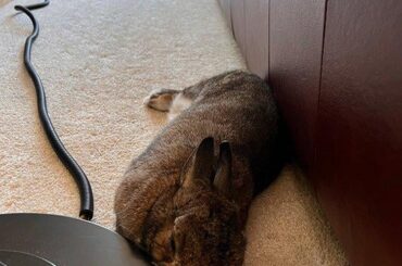 why does he likes keeping himself uncomfy?