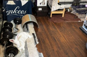 Resting between sets during yard time…