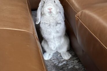 Baby George was told he belonged here