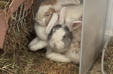 Comfortable… at husbun’s expense