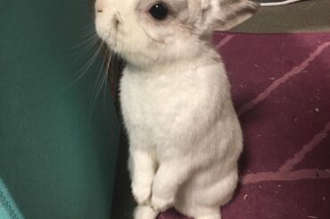 scoping out his parkour