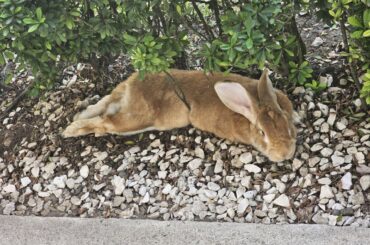 If its not stabbing him, he doesn't like it.