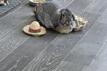 What do you do when someone reposts your original content as their own?