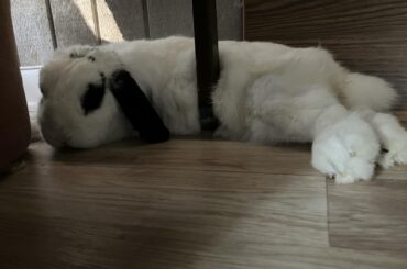 How is this comfy? 😂