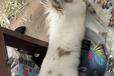 ma'am that is a pile of makeup palettes, not a bed