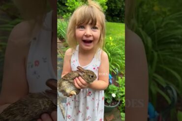 Man saves sunstroke rabbit #rabbit #babyrabbit #short