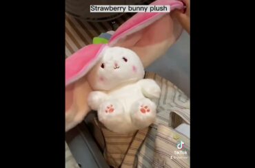 Reversible Strawberry Bunny Plush Toy #kidstoys #cute #easter #kawaii #plushies #gift  #rabbit