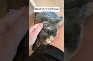 This bunny acts like a puppy
