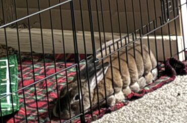 The best thing since sliced bread 🍞